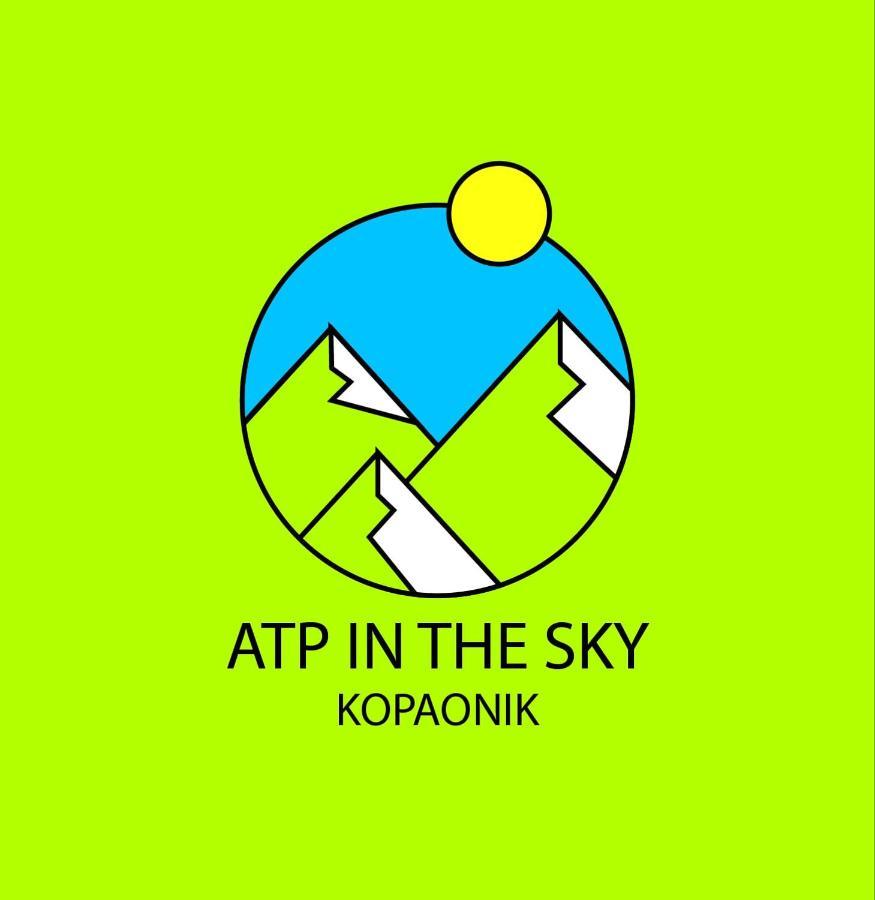 Apt In The Sky - Kopaonik Kraljevi Cardaci Bagian luar foto