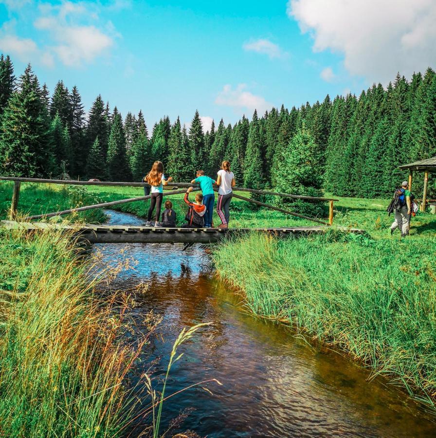 Apt In The Sky - Kopaonik Kraljevi Cardaci Bagian luar foto