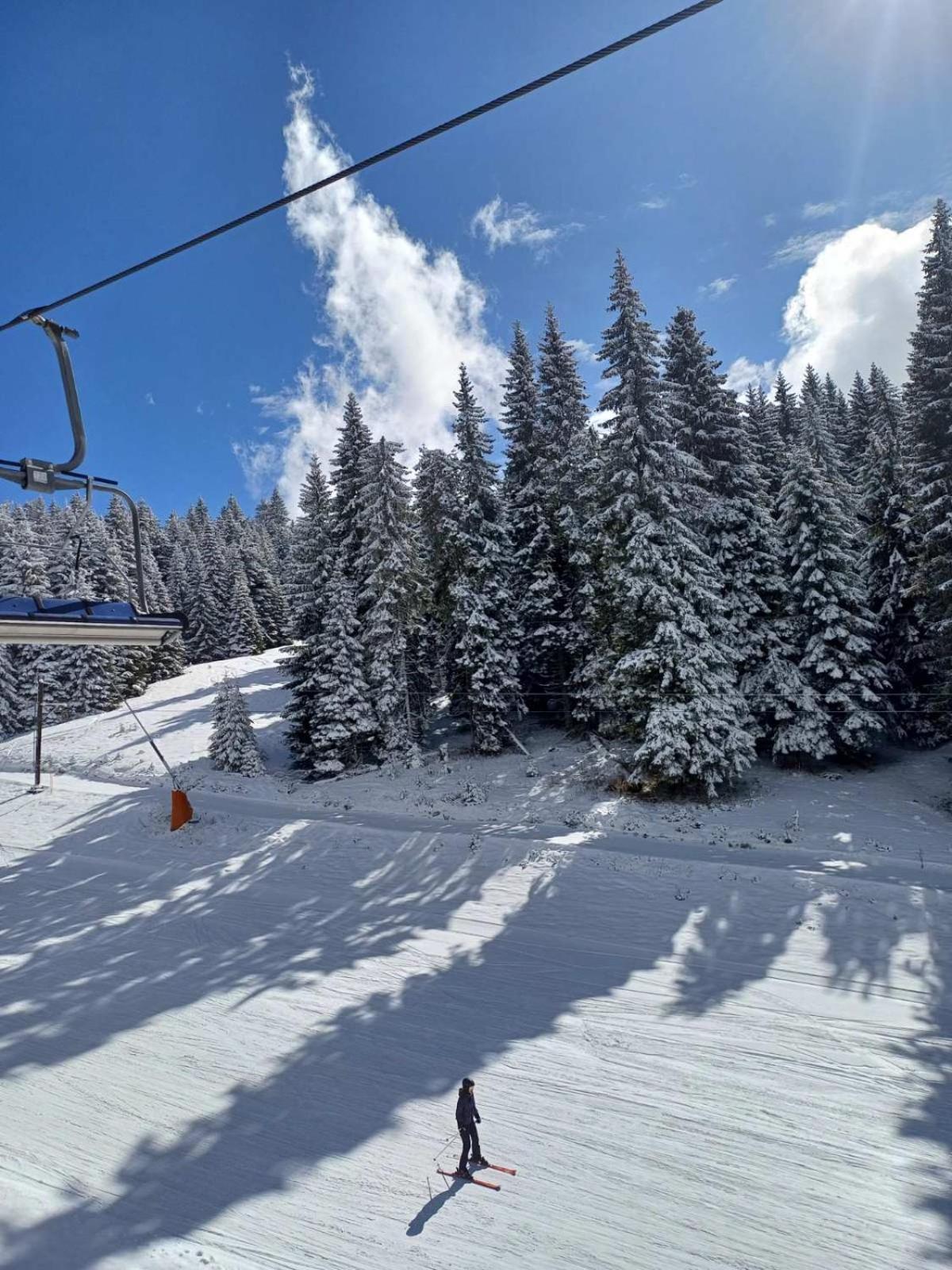 Apt In The Sky - Kopaonik Kraljevi Cardaci Bagian luar foto